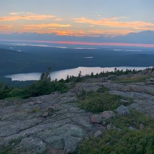 Meet your Posher, Maya